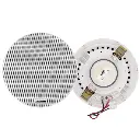 dsp6011l-6.5-frameless-ceiling-speaker-1.webp