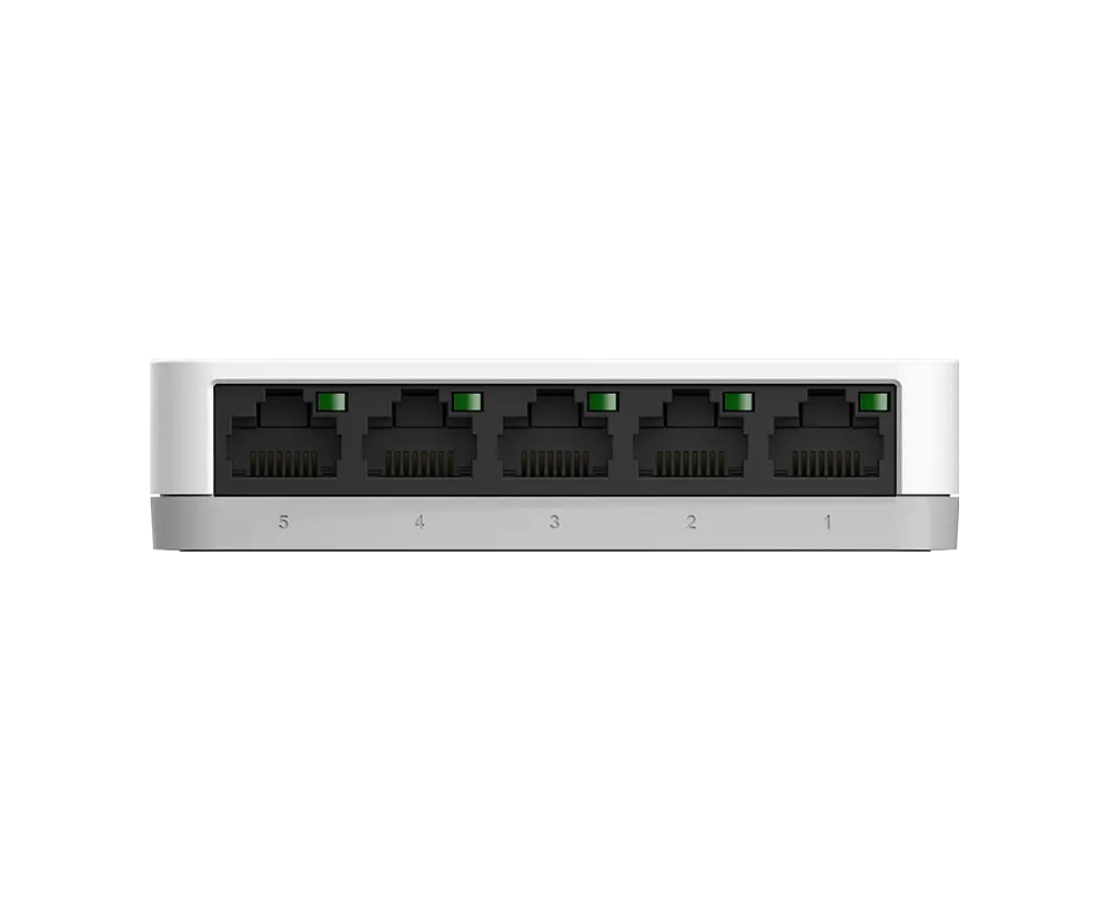 DGS1005A4.webp