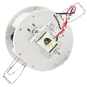 2 (1).webp