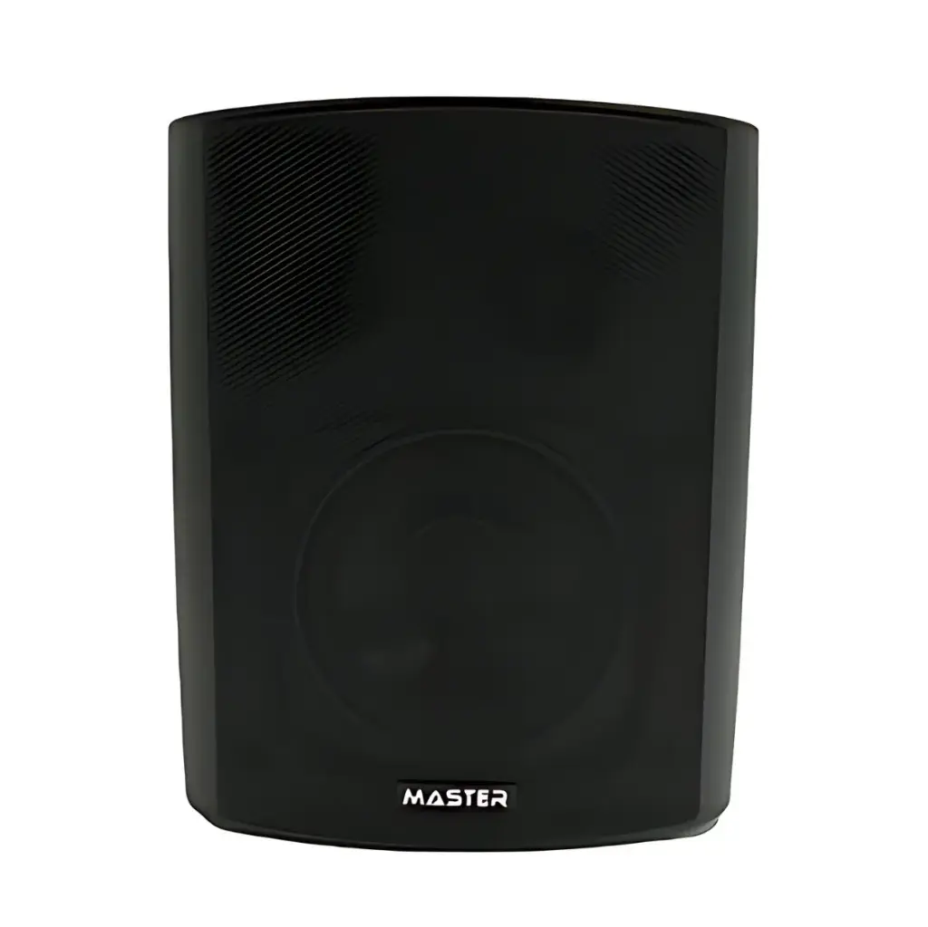 Master Team 20W Wall Speaker OHM (Black)