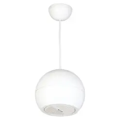 [DSP107W] DSPPA 15W Pendant Type Sound Projector