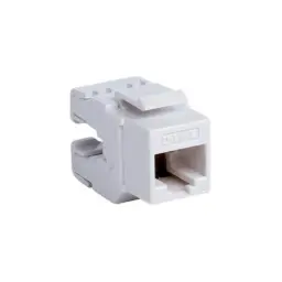 [NKJ-C6TWHI1B21] D-Link RJ CAT6 UTP Tool-less Keystone Jack